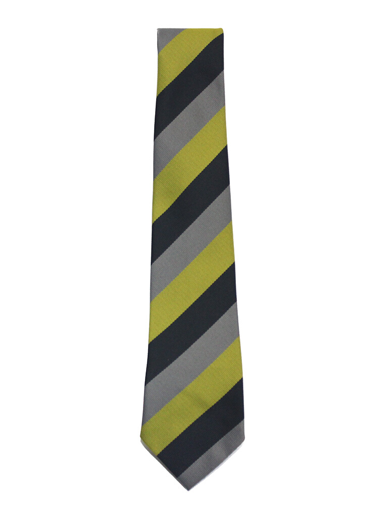 Dunoon Primary School Tie - Smiths of Greenock